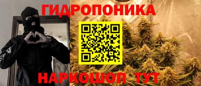 стафф Обь