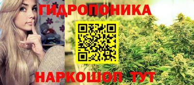 стафф Обь