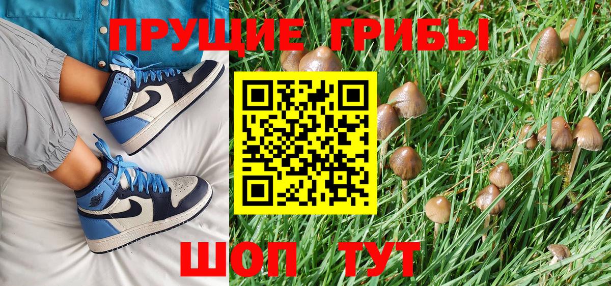 Новочеркасск  Псилоцибиновые грибы Psilocybine cubensis  закладка  Вход с VPN  Галлюциногенные грибы Magic Shrooms 