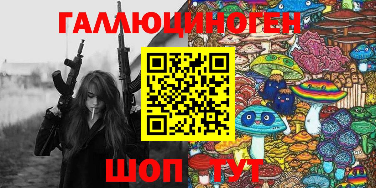 Псилоцибиновые грибы Psilocybe Новочеркасск